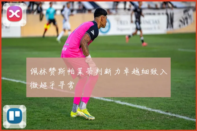 佩林赞斯帕莱蒂判断力卓越细致入微超乎寻常