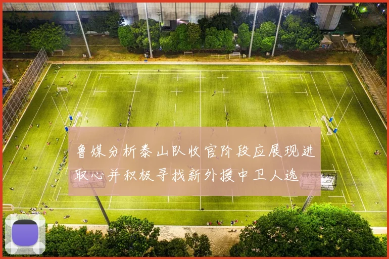 鲁媒分析泰山队收官阶段应展现进取心并积极寻找新外援中卫人选