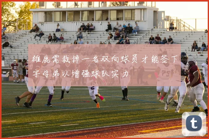 雄鹿需裁掉一名双向球员才能签下字母弟以增强球队实力